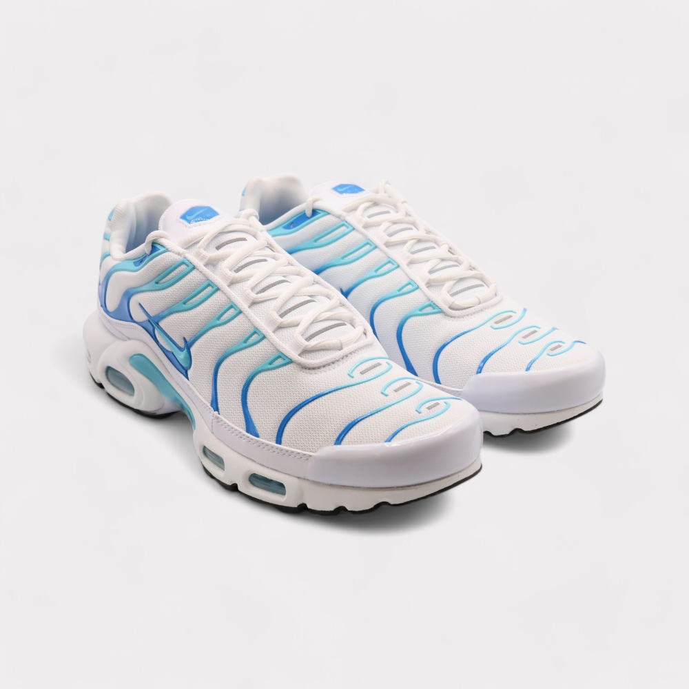 Nike Air Max Plus - Polarized Blue