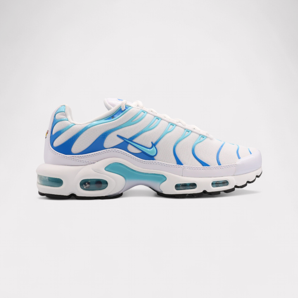 Nike Air Max Plus - Polarized Blue
