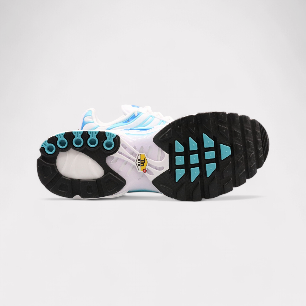 Nike Air Max Plus - Polarized Blue