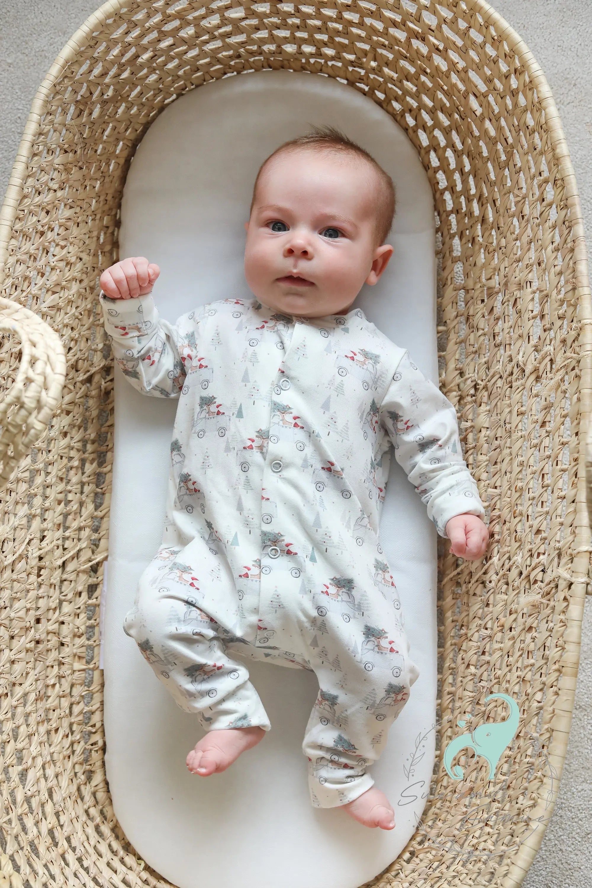 Organic Cotton Sleepsuits Sue and Samuel